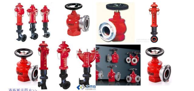 ��ɽ����